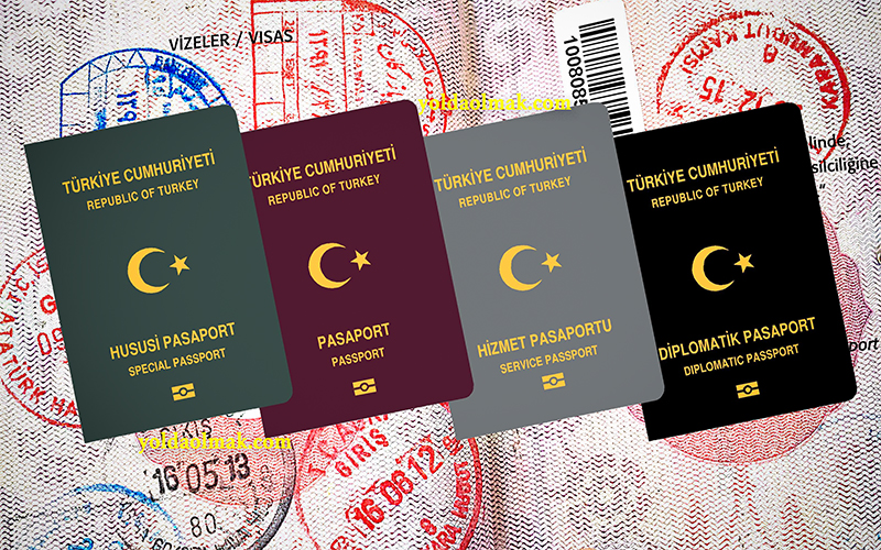 Sarı Pasaport Nedir