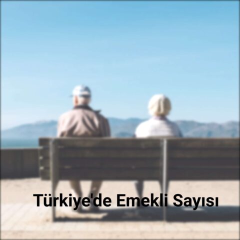 Türkiye’de Emekli Sayısı